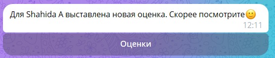 100.jpg