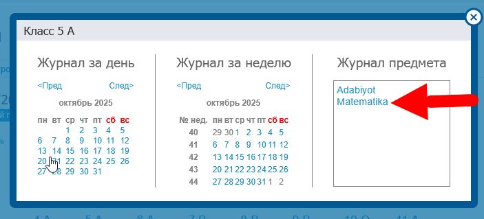 Журнал по предмету.jpg